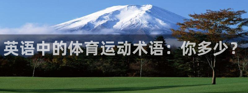 oety欧亿体育官网下载平台注册要钱吗:英语中的体育运动术语