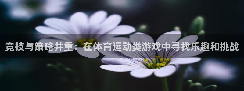 oety欧亿体育官网下载招商电话号码是多少号:竞技与策略并重